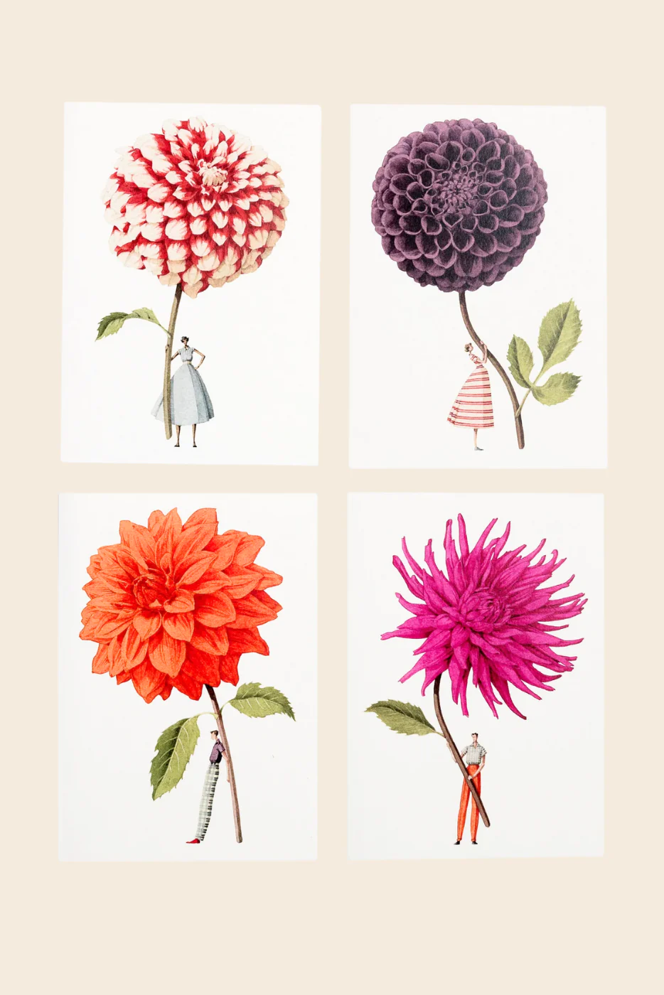 Dahlias A6 Notecards