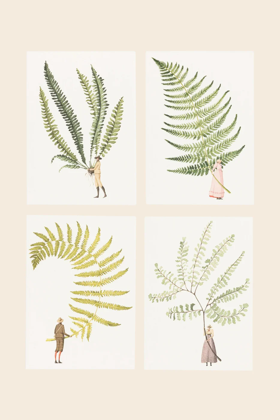 Fabulous Ferns A6 Notecards