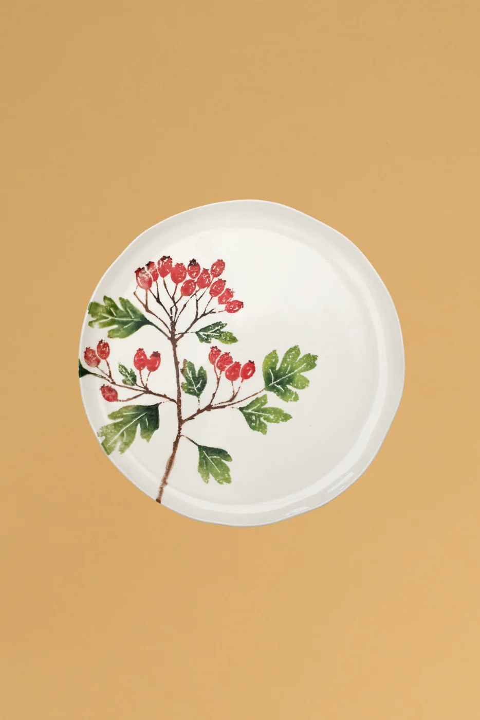 Hawthorn Dinner Plate - Image 4