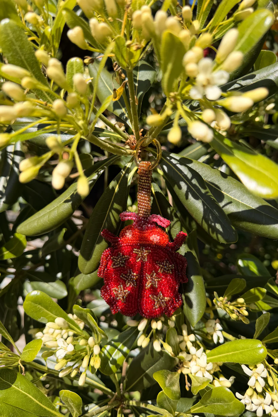 Ladybird Keyring