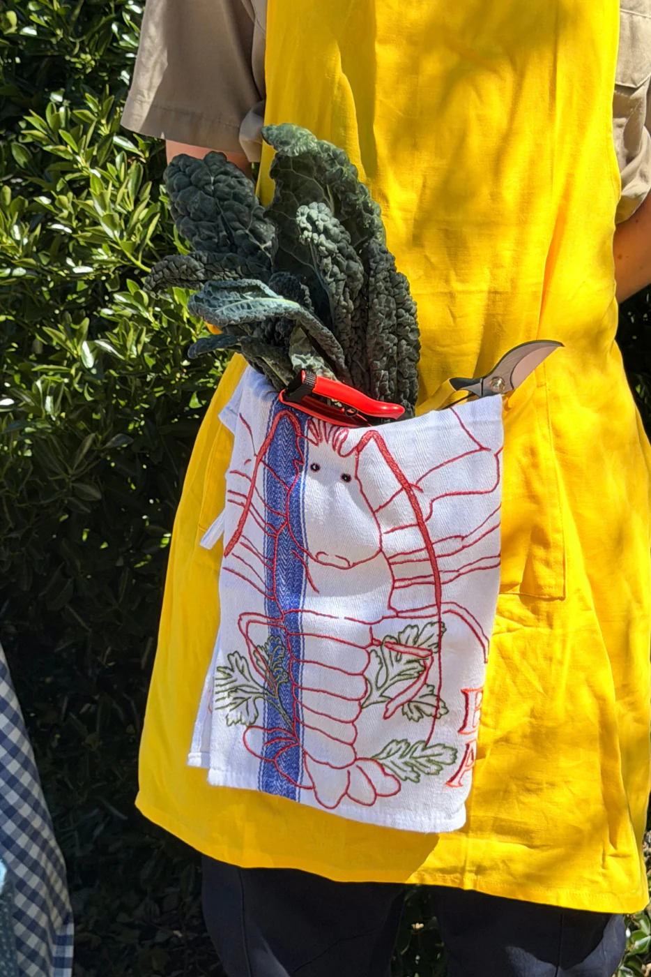 Lobster Tea Towel
